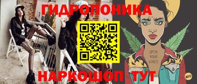 прущие грибы Будённовск