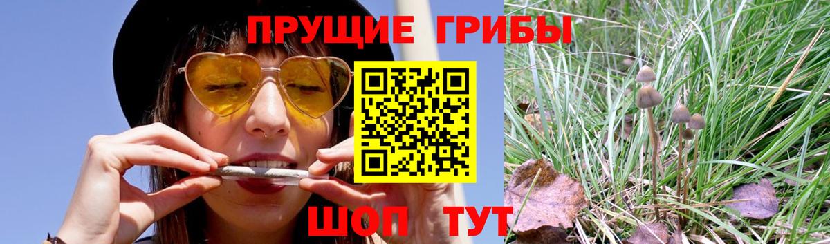 Галлюциногенные грибы Magic Shrooms  Вход с VPN  Еманжелинск 
